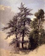 Study from Nature Trees,Newburgh, Asher Brown Durand